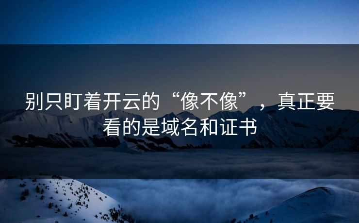 别只盯着开云的“像不像”，真正要看的是域名和证书