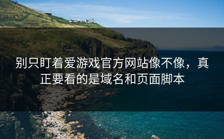 别只盯着爱游戏官方网站像不像，真正要看的是域名和页面脚本