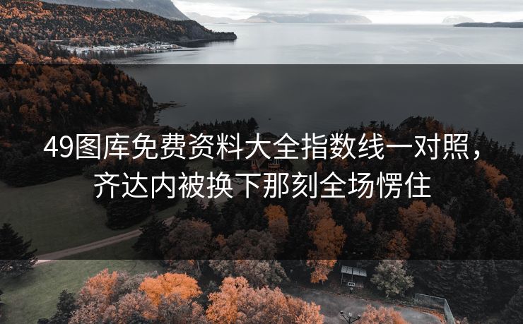 49图库免费资料大全指数线一对照，齐达内被换下那刻全场愣住