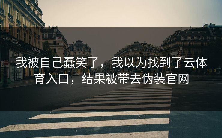 我被自己蠢笑了，我以为找到了云体育入口，结果被带去伪装官网