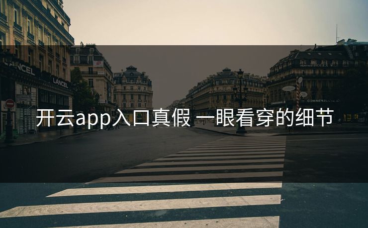 开云app入口真假 一眼看穿的细节